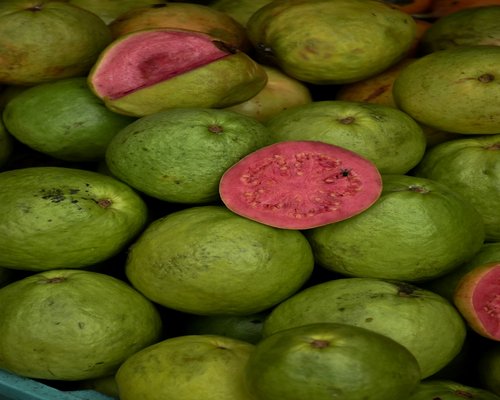 Fresh pink guava slices
